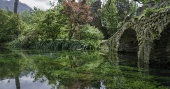 Benvenuti nel Giardino di Ninfa, il parco più romantico del mondo