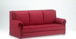 sofa-bunk-bed