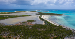 Isola all'asta alle Bahamas