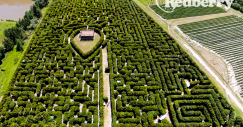 Redberry Farm Maze