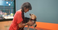 Ambulatorio veterinario sociale Roma