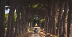 Tenuta Fratini