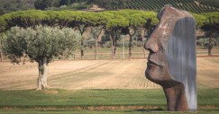 Tenuta Fratini