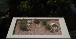 Il tetto verde è ricoperto di piante del deserto