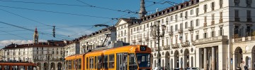 primati di torino