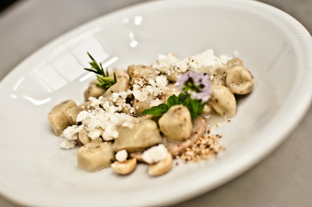 raccolta del tartufo bianco
