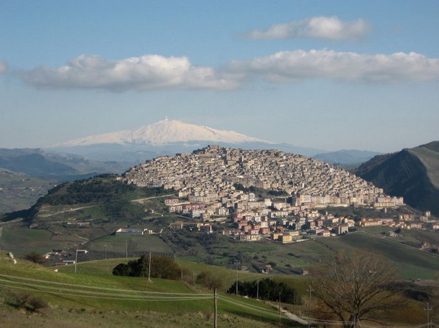 Wikimedia commons