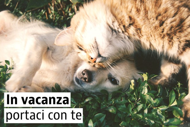 Case vacanze pet-friendly