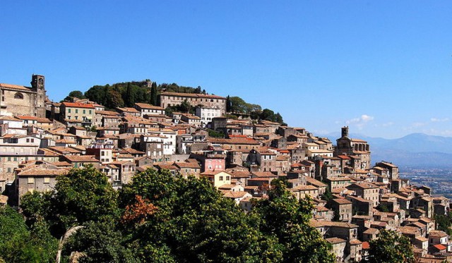 Wikimedia commons