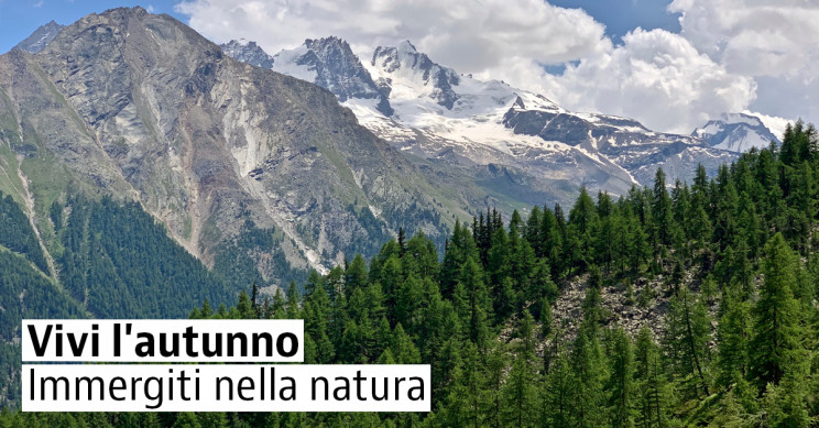 Parchi nazionali da visitare in autunno