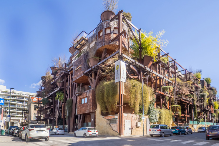 Casa Foresta