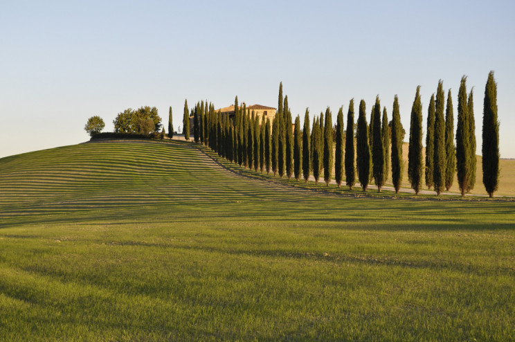 mutui agricoli