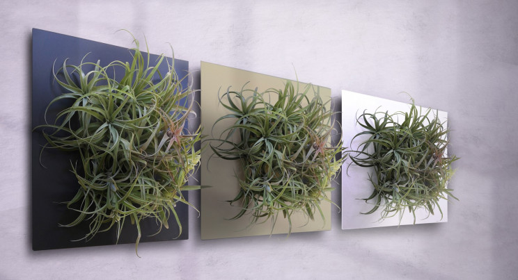 Urban Symbiosis Design