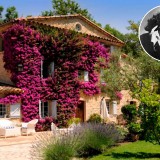 Case dei vip: in vendita la villa di Édith Piaf a Cannes (fotogallery)