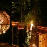Un ristorante sull'albero a forma di bozza di crisalide in nuova zelanda (video e fotogallery)