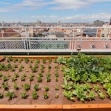 A madrid l’orto urbano più grande del mondo (foto)
