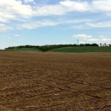 Imu sui terreni agricoli, esenti solo i comuni montani sopra i 600 metri