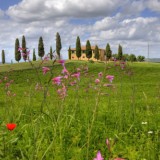 Imu sui terreni agricoli, zanetti: "il prossimo cdm approverà la proroga del pagamento al 26 gennaio 2015"