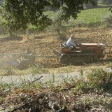 Imu terreni agricoli, rimborso per i versamenti non dovuti e nuova scadenza al 31 marzo