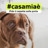 #casamiaè: la nuova campagna di idealista vuole sapere cosa rende unica la tua casa