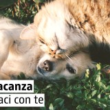 Case vacanze pet-friendly