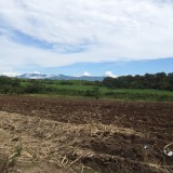 Imu terreni agricoli 2020: le informazioni per versamento dell'imposta