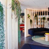 Decorare casa con le piante grasse, i consigli dell’interior designer
