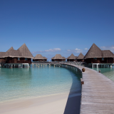 Due settimane gratis in un resort 4 stelle alle Maldive, basta prendersi cura delle tartarughe