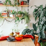 Come creare un piccolo giardino dentro casa