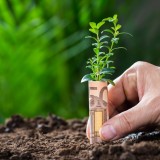 Reddito di residenza attiva: 700 euro al mese per chi ripopola i comuni del Molise