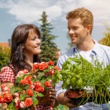 Terreno edificabile ad uso agricolo, l'Imu è dovuta per i comproprietari?