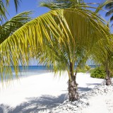Vivere e fare smart working nel paradiso delle Isole Cayman a una condizione: guadagnare 85.000 euro