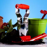 Proroga del bonus verde al 2021