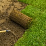 Bonus verde, quale metodo di pagamento si può utilizzare?