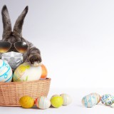 Zona rossa Pasqua 2021, regole su spostamenti, visite e seconde case