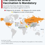 I Paesi in cui il vaccino è obbligatorio o necessario per svolgere alcune attività