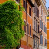 Come sono cambiati i canoni d’affitto nell’ultimo anno, i dati per tipologia immobiliare