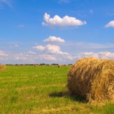 Usucapione di un terreno agricolo, cosa serve sapere