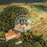 In vendita su idealista una villa del 1600 con annesso borgo rurale a San Giminiano