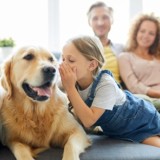 Bonus animali domestici 2022