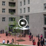 Alla scoperta di Aparto Milan Giovenale, il primo campus di Hines con palestra, yoga e psicologo