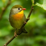 The most beautiful Biosphere Nature Reserves in Italy