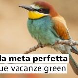 Riserve della Biosfera da scoprire in Italia