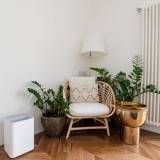 come scegliere il deumidificatore per la casa