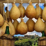 Meilleurs fromages italiens par région