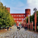 primati di torino