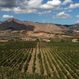 Route des vins de l'Etna