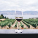 Vin italien parfait pour accompagner vos repas italiens