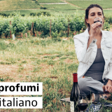 Vino