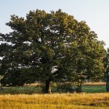 riserva naturale delle baragge